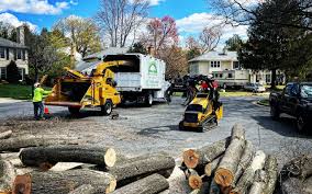 Best Tree Risk Assessment  in Los Banos, CA